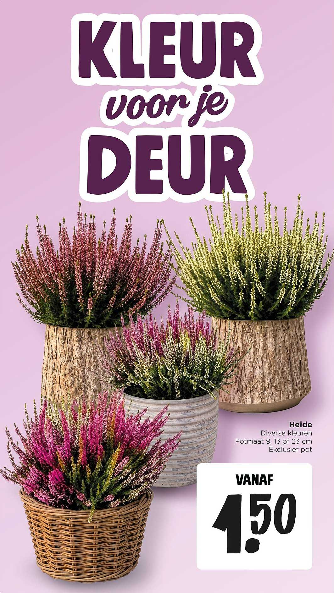 KLEUR voor je DEUR
