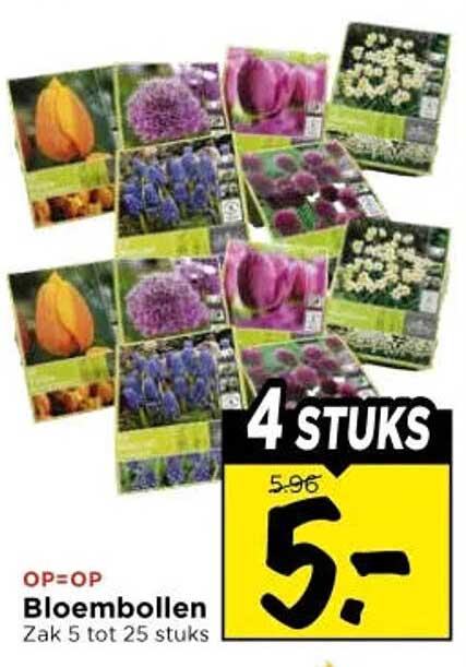 OP=OP Bloembollen Zak 5 tot 25 stuks 4 STUKS