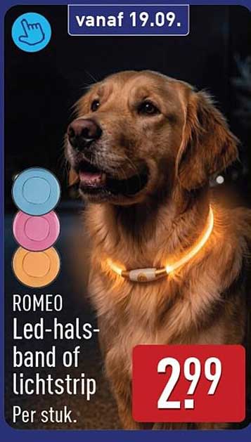 ROMEO Led-halsband of lichtstrip
