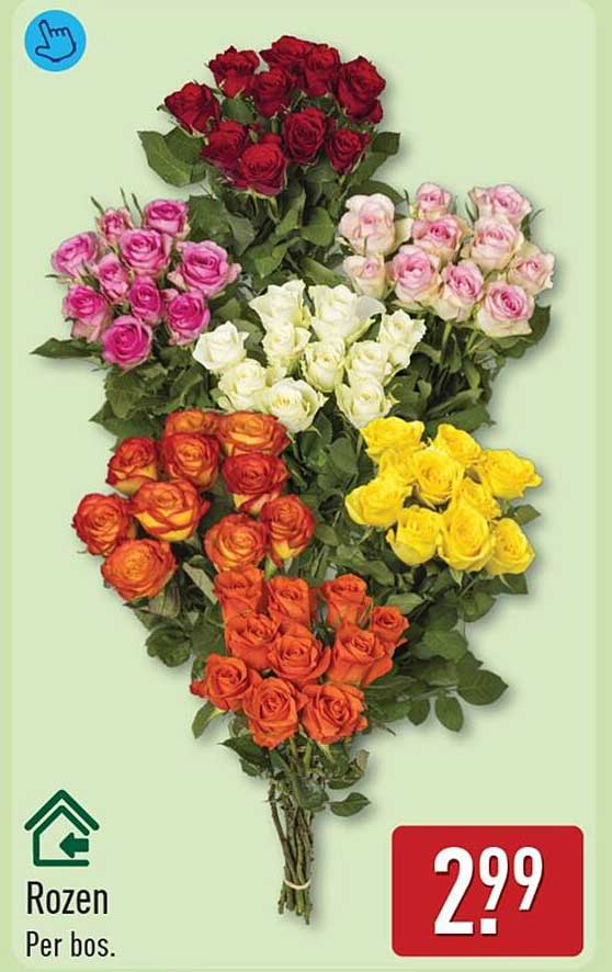 Rozen Per bos.