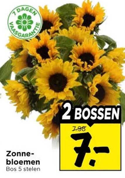 Zonnebloemen Bos 5 stelen 2 bossen