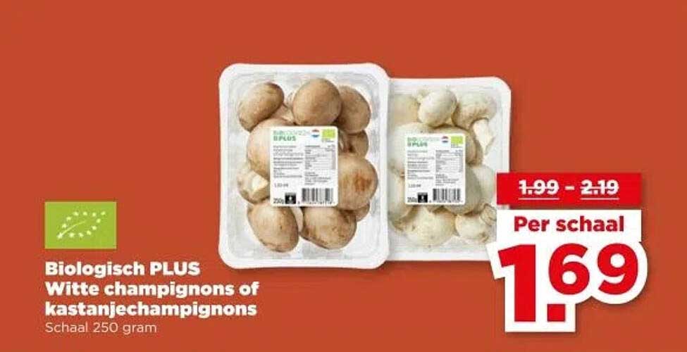 Biologisch PLUS Witte champignons of kastanjechampignons