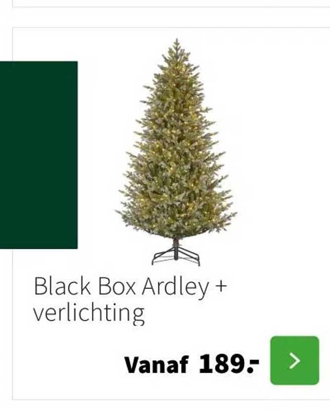 Black Box Ardley + verlichting