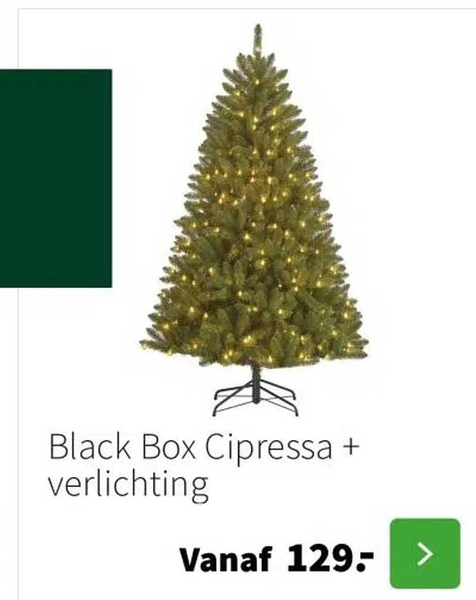 Black Box Cipressa + verlichting