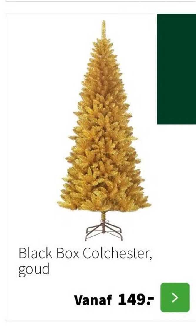 Black Box Colchester, goud