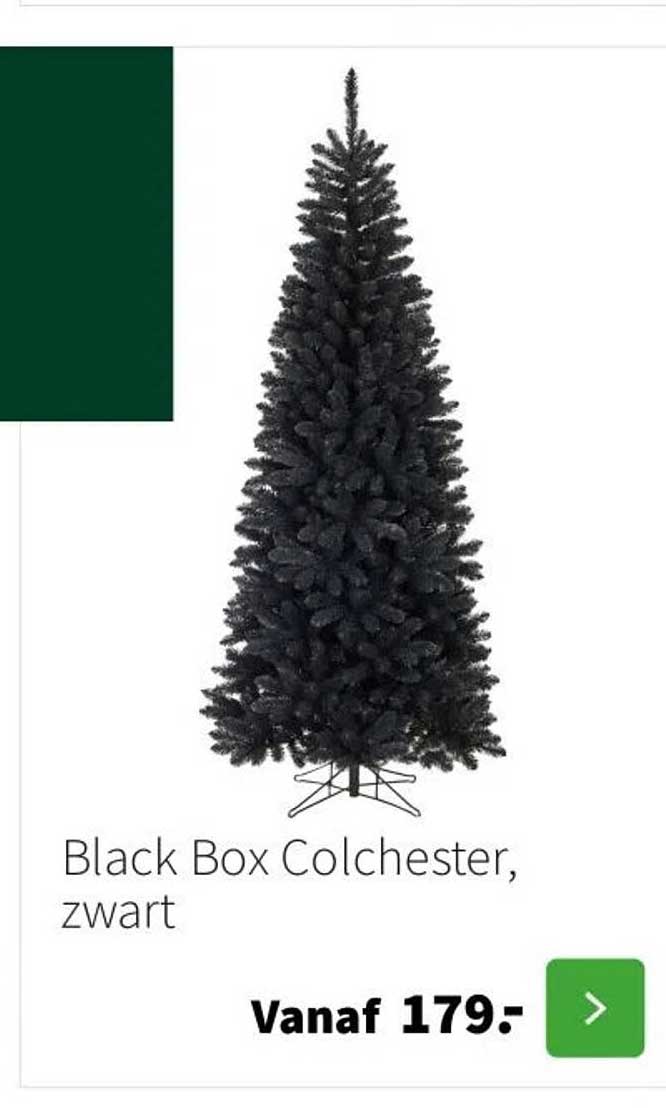 Black Box Colchester, zwart