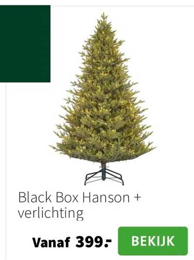Black Box Hanson + verlichting