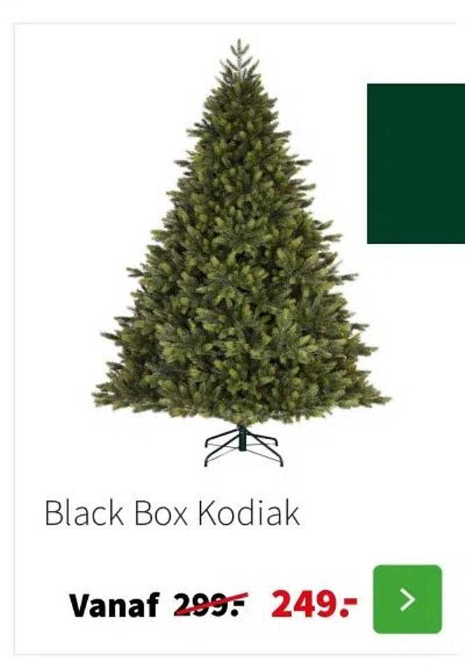 Black Box Kodiak