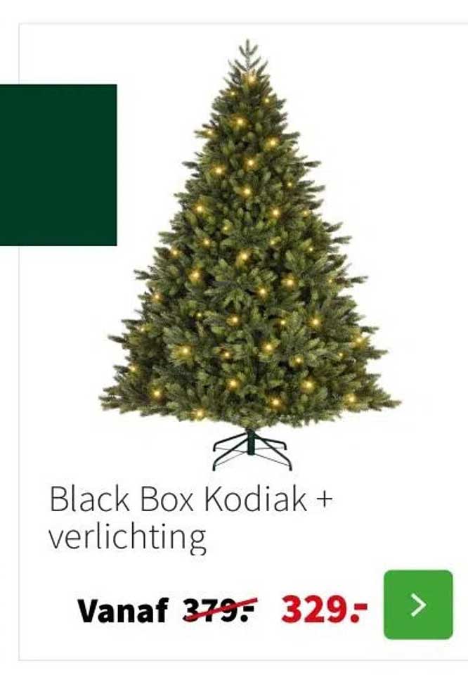 Black Box Kodiak + verlichting