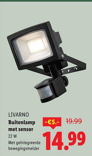 Buitenlamp met sensor