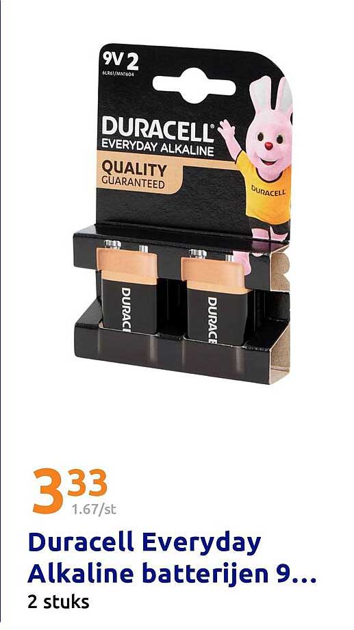 Duracell Everyday Alkaline batterijen 9V 2 stuks