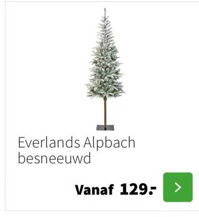 Everlands Alpbach besneeuwd