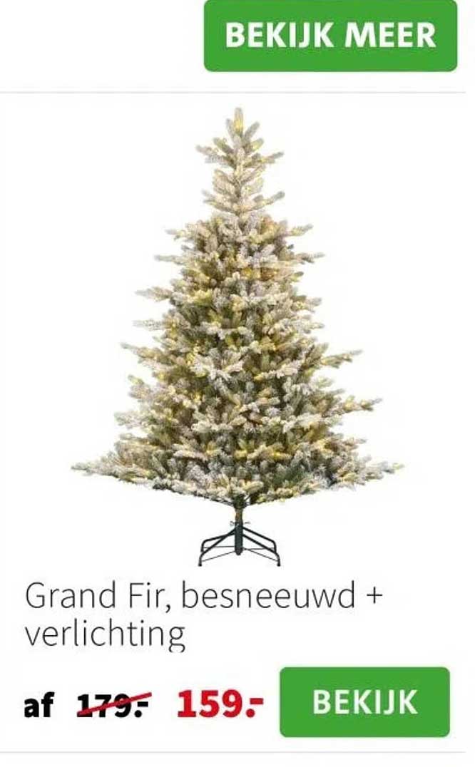 Grand Fir, besneeuwd + verlichting