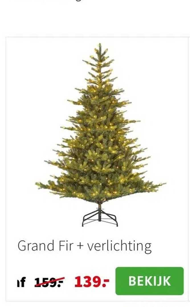 Grand Fir + verlichting
