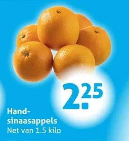 Hand-sinaasappels Net van 1.5 kilo