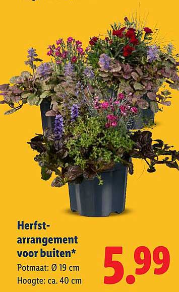 Herfst-arrangement voor buiten*