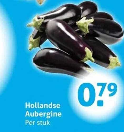 Hollandse Aubergine