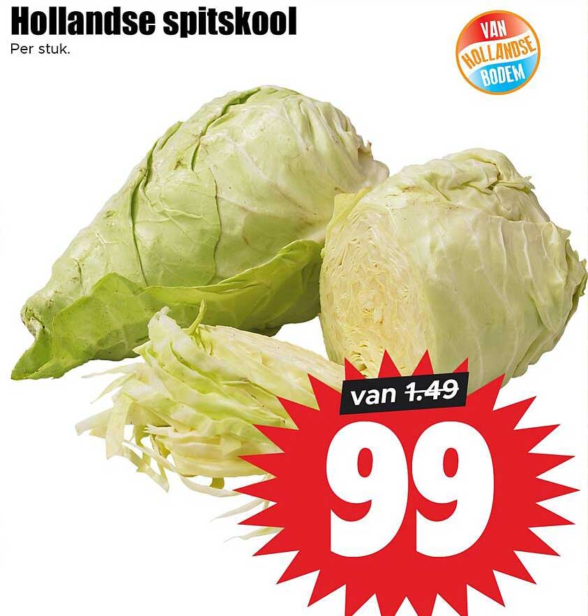 Hollandse spitskool