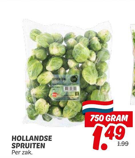 HOLLANDSE SPRUITEN