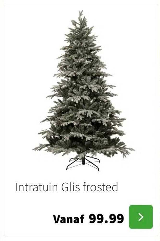 Intratuin Glis frosted