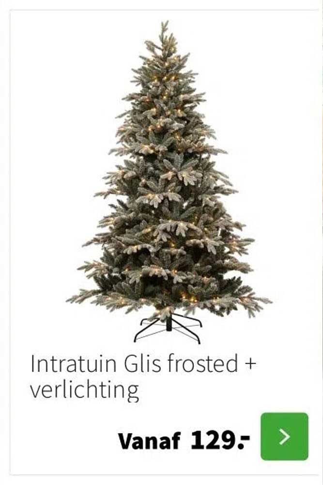 Intratuin Glis frosted + verlichting