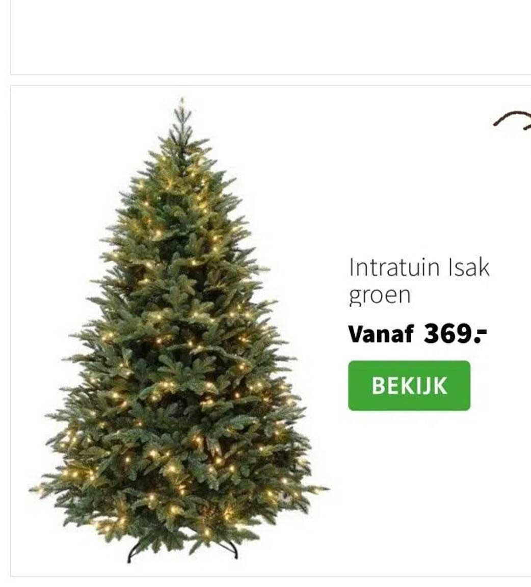 Intratuin Isak groen