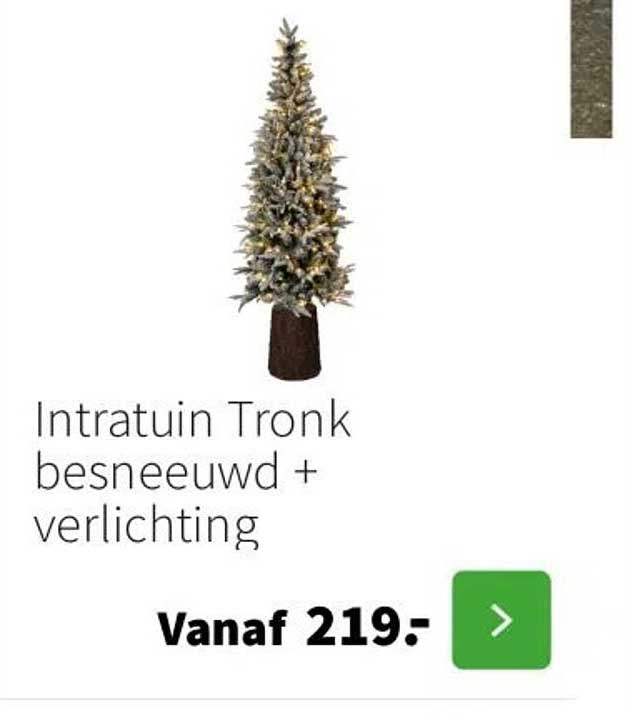 Intratuin Tronk besneeuwd + verlichting