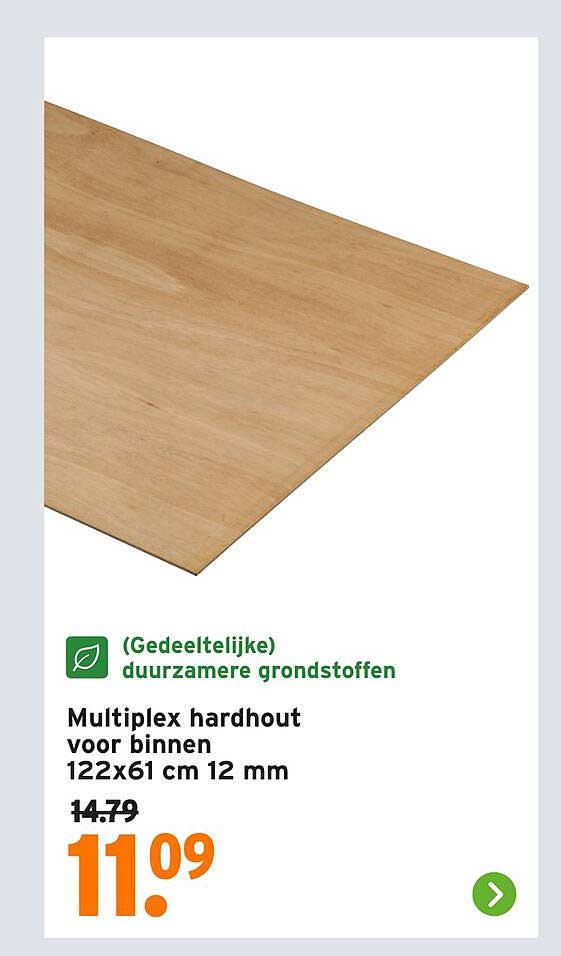 Multiplex hardhout voor binnen 122x61 cm 12 mm