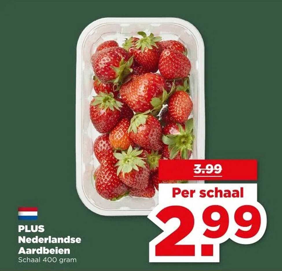 PLUS Nederlandse Aardbeien Schaal 400 gram