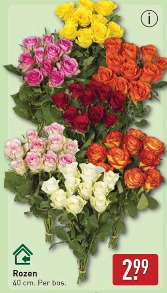 Rozen 40 cm. Per bos.