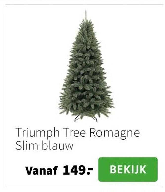 Triumph Tree Romagne Slim blauw