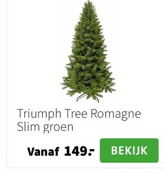 Triumph Tree Romagne Slim groen