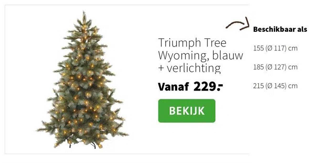 Triumph Tree Wyoming, blauw + verlichting