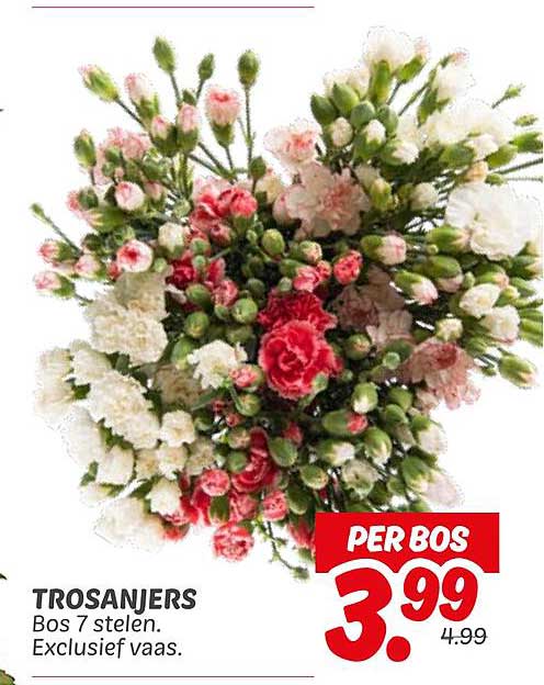 Trosanjers Bos 7 stelen. Exclusief vaas.