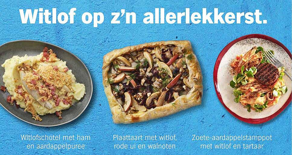 Witlof op z’n allerlekkerst.