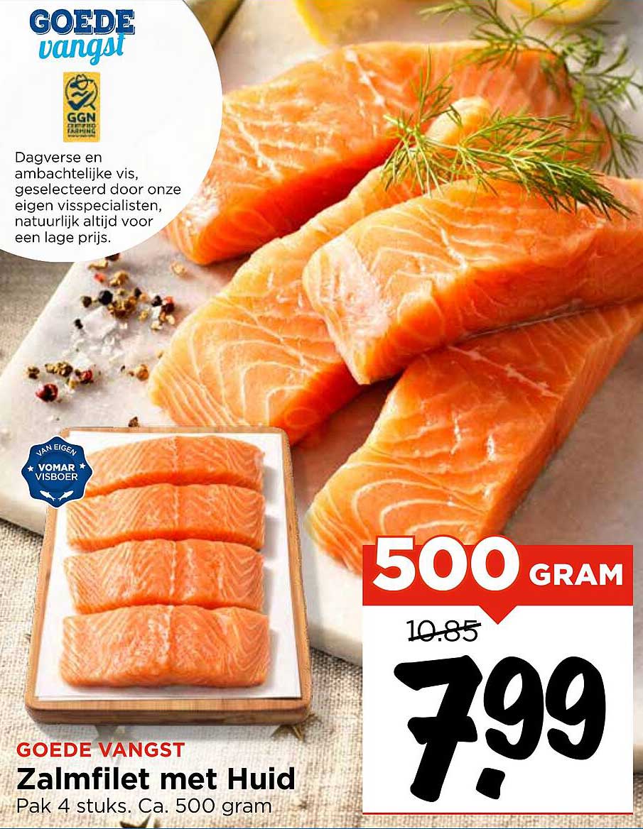 Zalmfilet met Huid