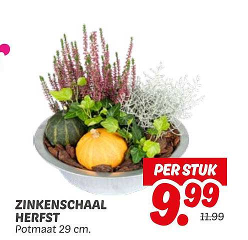 Zinkenschaal Herfst
