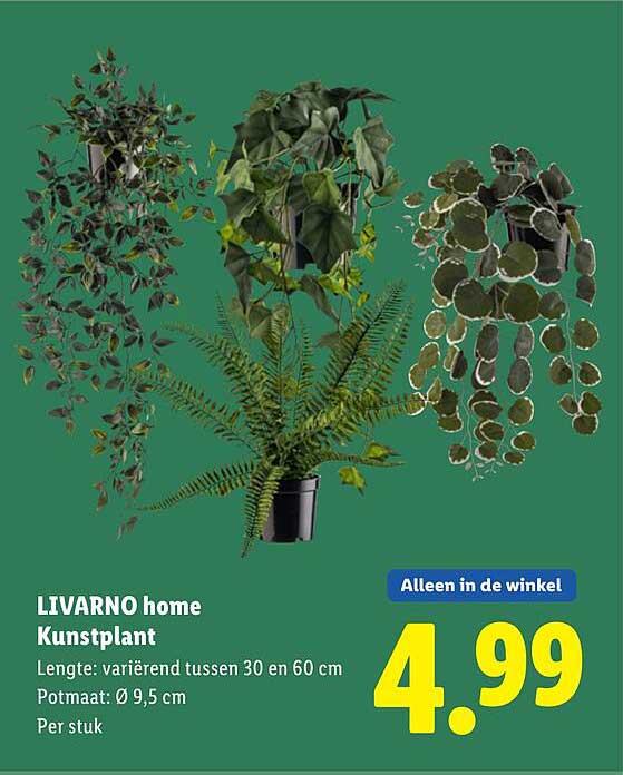LIVARNO home Kunstplant
