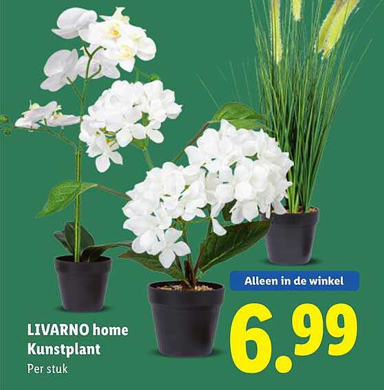 LIVARNO home Kunstplant