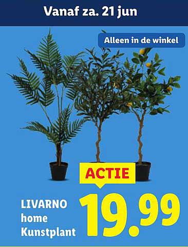 LIVARNO home Kunstplant