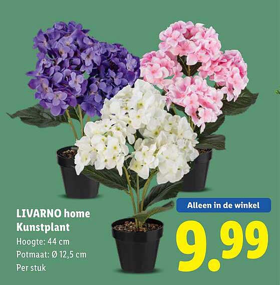 LIVARNO home Kunstplant