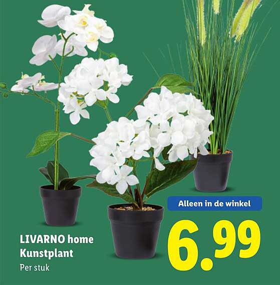 LIVARNO home Kunstplant