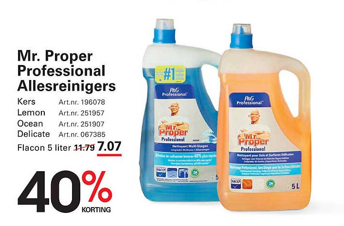 Mr. Proper Professional Allesreinigers