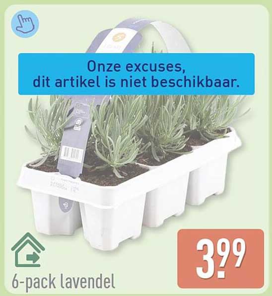 6-pack lavendel