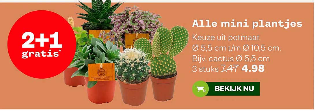 Alle mini plantjes 2+1 gratis*