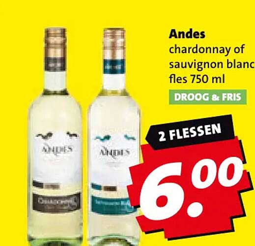 Andes chardonnay of sauvignon blanc fles 750 ml DROOG & FRIS 2 FLESSEN