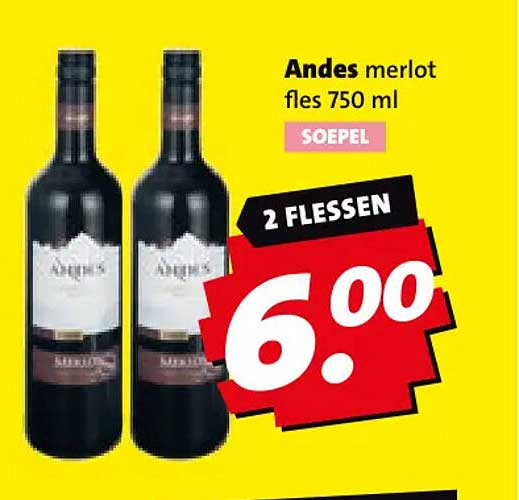 Andes merlot fles 750 ml SOEPEL 2 FLESSEN