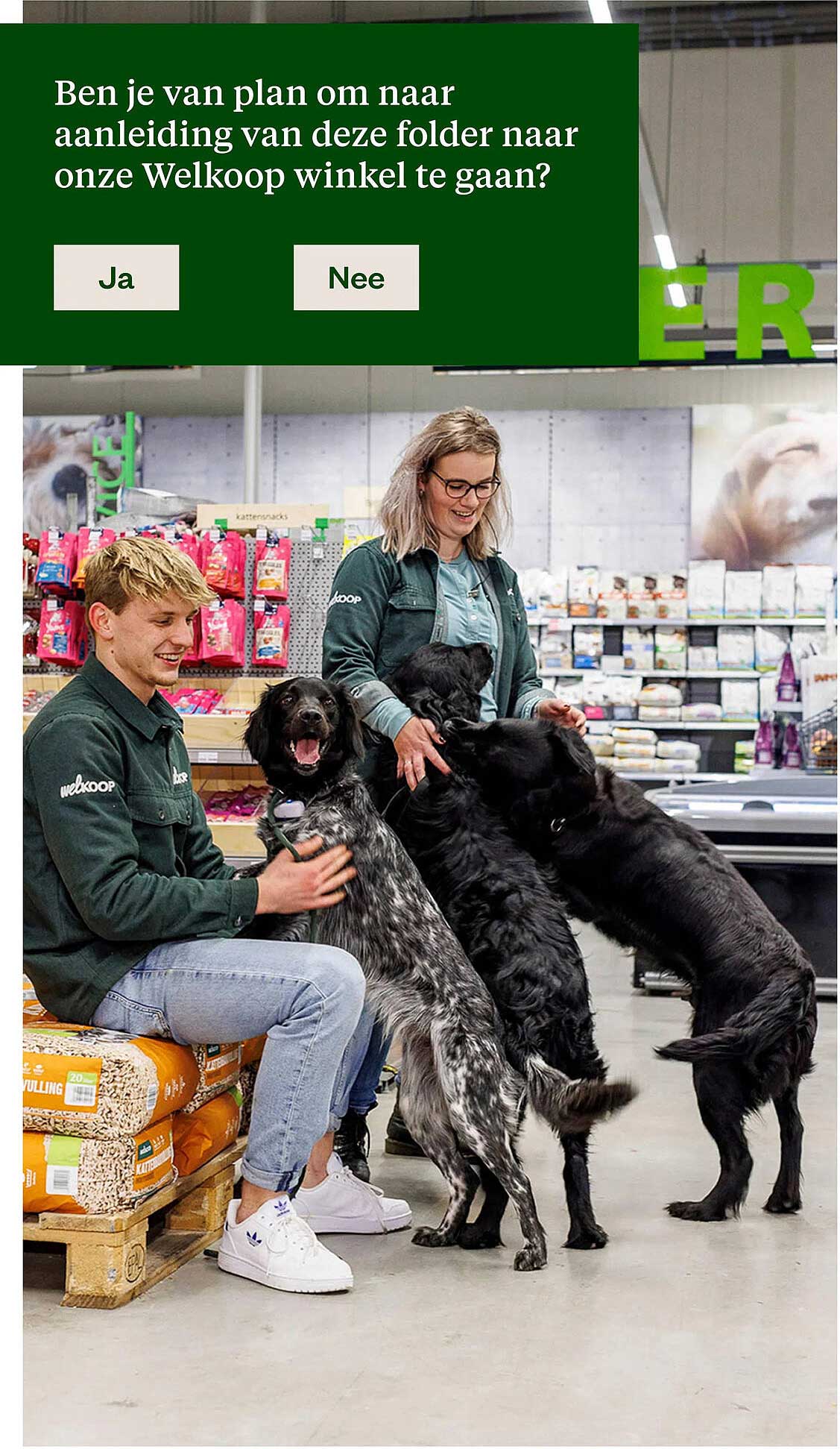 Ben je van plan om naar aanleiding van deze folder naar onze Welkoop winkel te gaan?