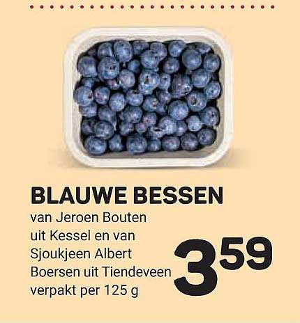BLAUWE BESSEN