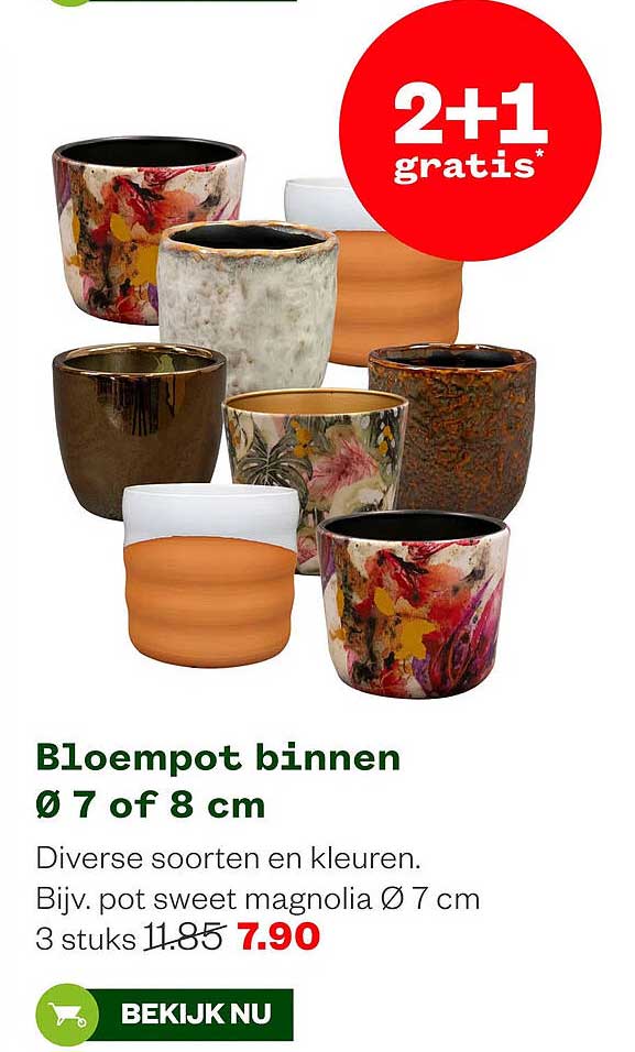 Bloempot binnen Ø 7 of 8 cm 2+1 gratis